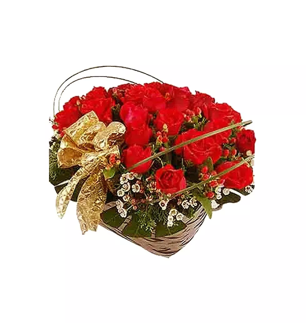 Opulent Red Roses