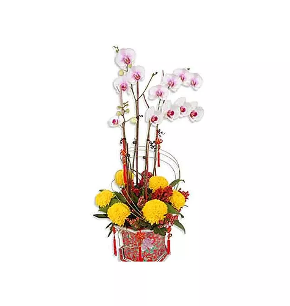 Special Colorful Wishes Bouquet