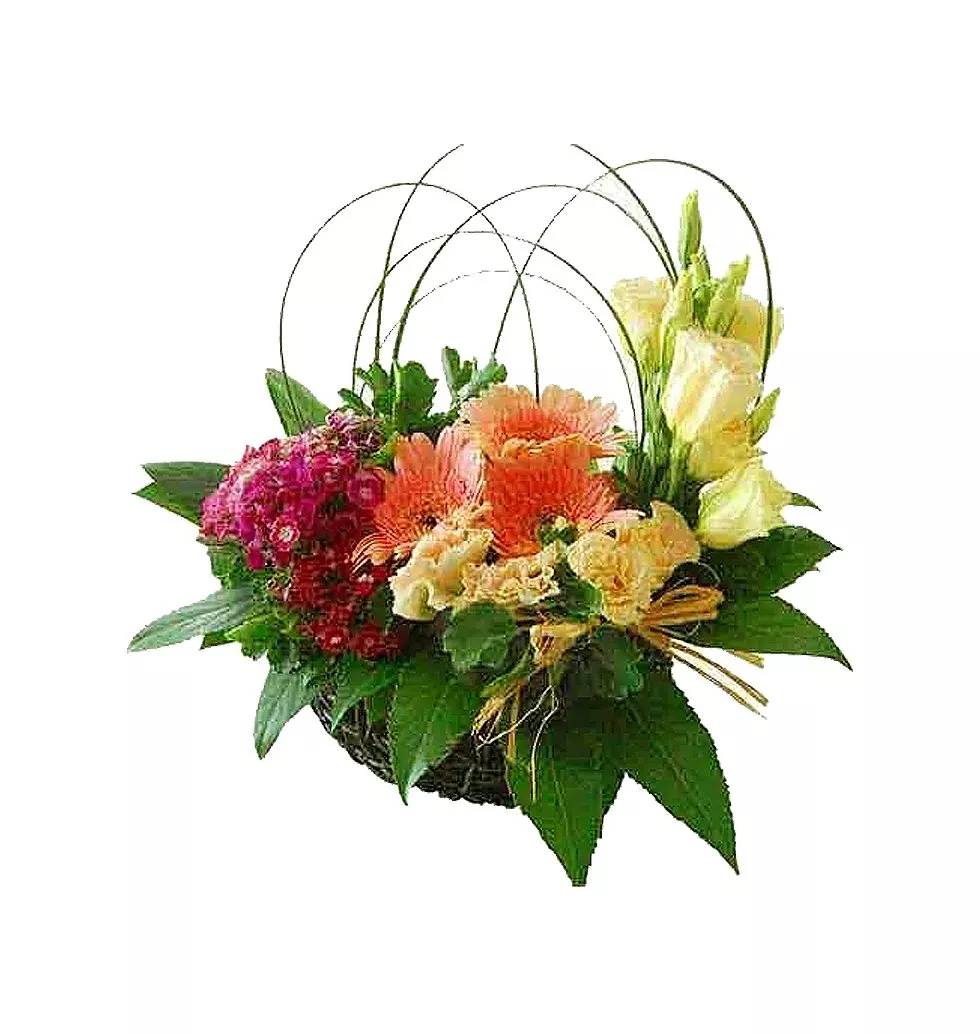 Dreamy Pure passion Bouquet of Variant Flowers