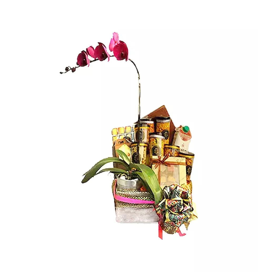 Ambrosial Food Delight Gift Hamper with Phalaenopsis Orchid