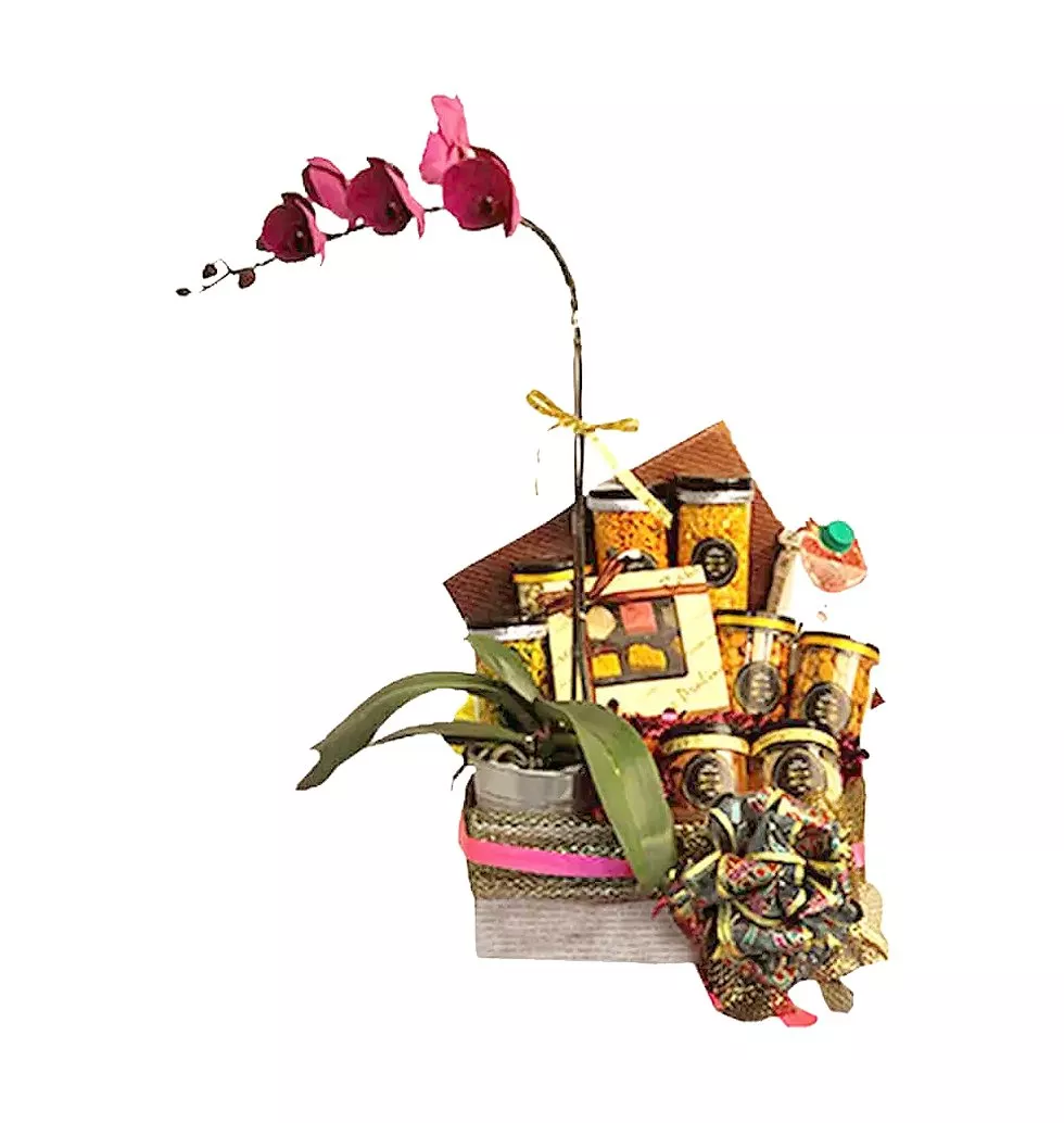Orchid with Food Hamper